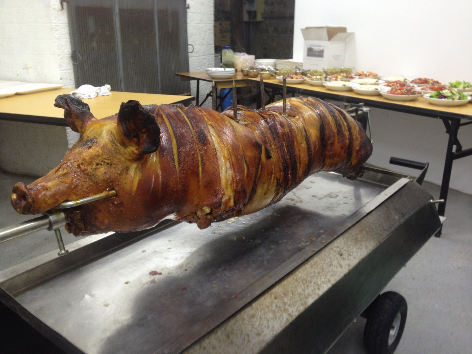 pigggg pigggg
